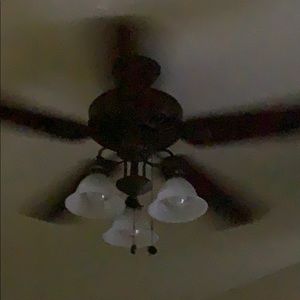 Meet your Posher, Ava monique